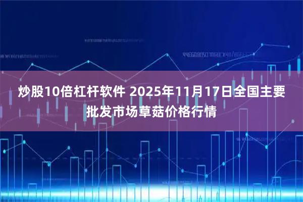 炒股10倍杠杆软件 2025年11月17日全国主要批发市场草菇价格行情