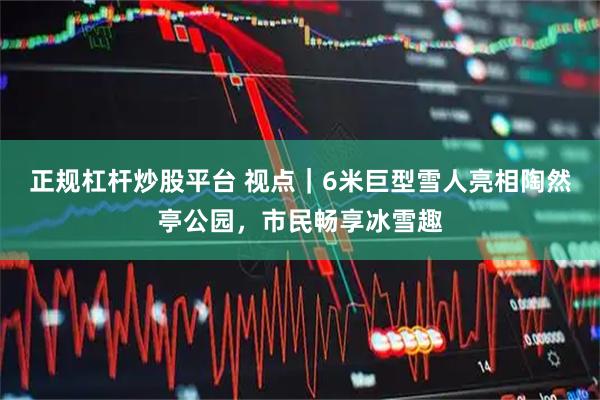 正规杠杆炒股平台 视点｜6米巨型雪人亮相陶然亭公园，市民畅享冰雪趣